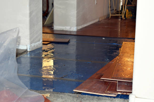 Professional Burst Pipe Cleanup technician working in Powell Butte, OR